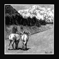Mountain Men