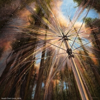 Canopy