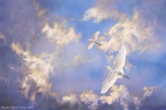 Take Flight