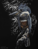 Prominent Perch