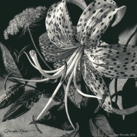 Tiger Lily Bouquet