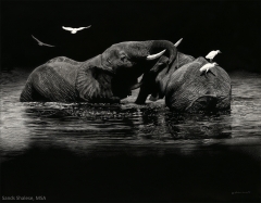 Harmony