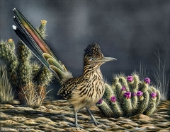 Desert Denizen