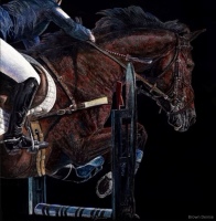 Terra Nova Jumper, 12 x 12, Denise Brown