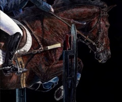 Terra Nova Jumper, 12 x 12, Denise Brown