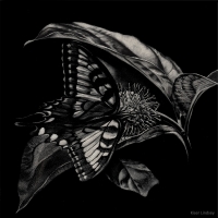 Brief as Spring, 6 x 6, Lindsey Kiser