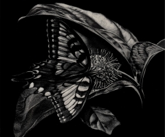 Brief as Spring, 6 x 6, Lindsey Kiser