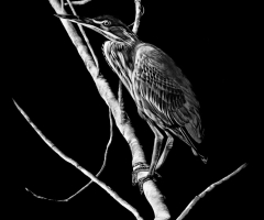 Master of the Moment, 18 x 14, Lindsey Kiser