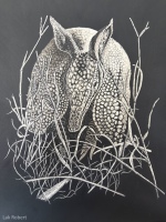 Armadillo, 12 x 9, Robert Lak