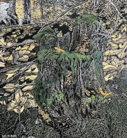 King of the Hill, 13 x 12, Robert Lak