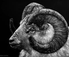 High and Mighty, 8 x 10, Corrine Nelson