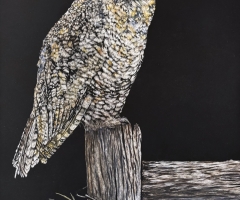 On the Lookout, 12 x 16, Corrine Nelson