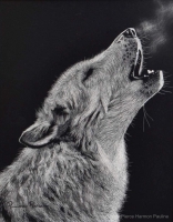 Call of the Wild, 14 x 11, Pauline Pierce Harmon