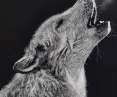 Call of the Wild, 14 x 11, Pauline Pierce Harmon