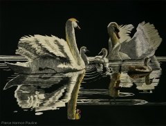 Water Wonders, 11 x 16, Pauline Pierce Harmon