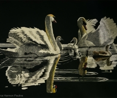 Water Wonders, 11 x 16, Pauline Pierce Harmon