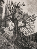 Lightning Survivor, 12 x 9, Greg Seyk