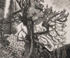 Lightning Survivor, 12 x 9, Greg Seyk