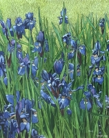 Irises, 20 x 16, Joe Smith