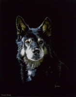 Nemo, 13 x 10, Doug Souza