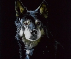 Nemo, 13 x 10, Doug Souza