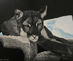 Puma in Cave, 8 x 10, George Wogan