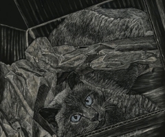 My Paper, My Box, 8 x 8, Katherine Wrigley