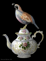 Cuppa Dearie, 18 x 14, Marion Brennan SSA