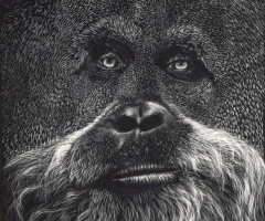 Old Man of the Forest, 8 x 8, Holly Cannon SSA