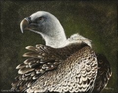 Ruppells Griffon, 11 x 14, Kathy Conroy SSA