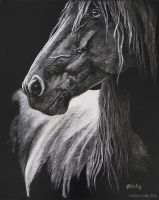 The Wild One, 10 x 8, Judy Fairley SSA