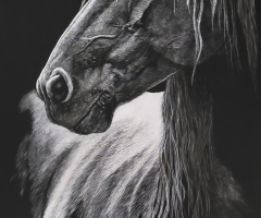 The Wild One, 10 x 8, Judy Fairley SSA