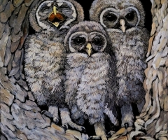 There is One in Every Family, 12 x 9, Judy Fairley SSA