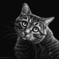 Enchanting, 5 x 5, Jenna Hestekin SSA