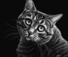 Enchanting, 5 x 5, Jenna Hestekin SSA