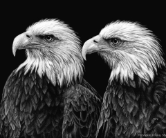 Liberty & Justice, 8 x 10, Jenna Hestekin SSA