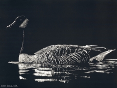 Canadian Honker, 8 x 10, Sonja Jones SSA