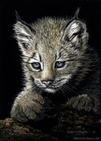 On Pause, 7 x 5, Debra Otterstein SSA