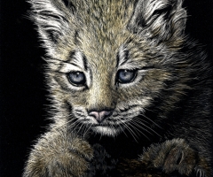 On Pause, 7 x 5, Debra Otterstein SSA