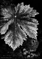 Waiting for Raisins, 7 x 5, Debra Otterstein SSA