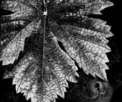 Waiting for Raisins, 7 x 5, Debra Otterstein SSA