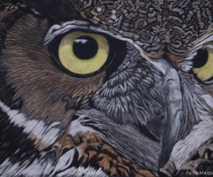 Horned Owl Eyes, 5 x 7, Margaret Pardy SSA