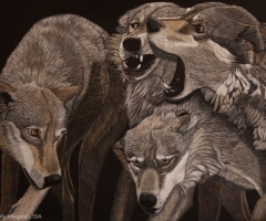 Sibling Rivalry, 18 x 24, Margaret Pardy SSA