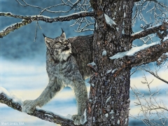 Deliberate Ambush, 36 x 48, Linda Short SSA