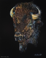 Wooly Bully, 20 x 16, Linda Short SSA