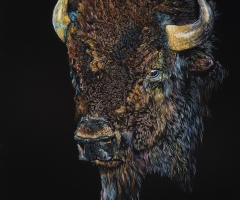 Wooly Bully, 20 x 16, Linda Short SSA
