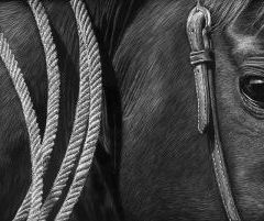 Cathy Sheeter - Roping Horse