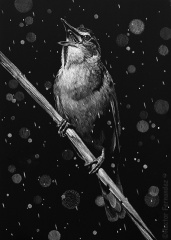 Hector Fernandez - Singing in the Rain