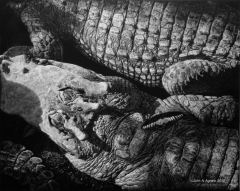 John Agnew - Crocodile Dreams