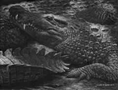 John Agnew - Shadow Dragons